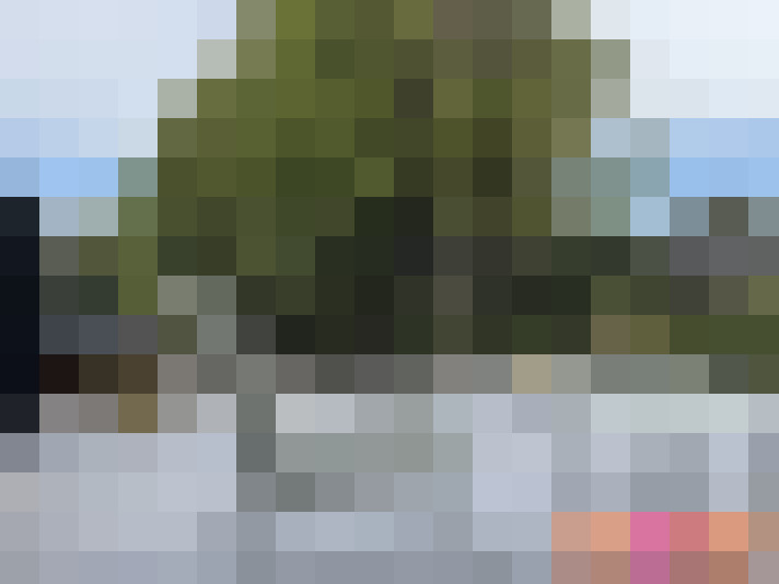 Image 14
