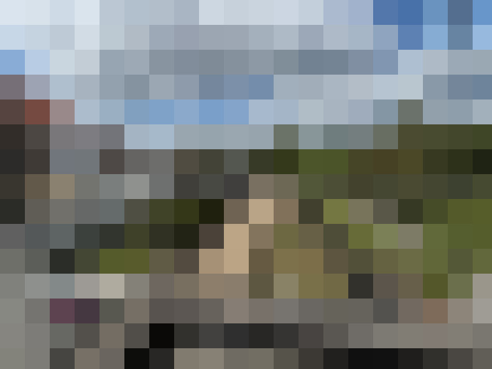 Image 13