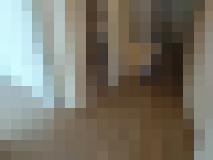 Image 13