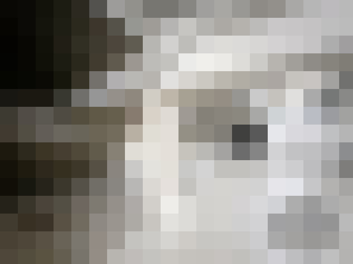 Image 14