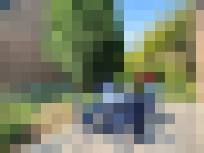 Image 20