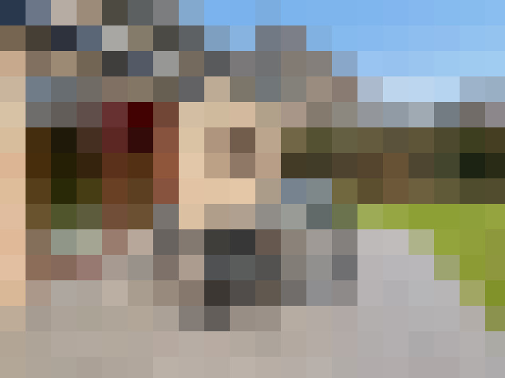 Image 21