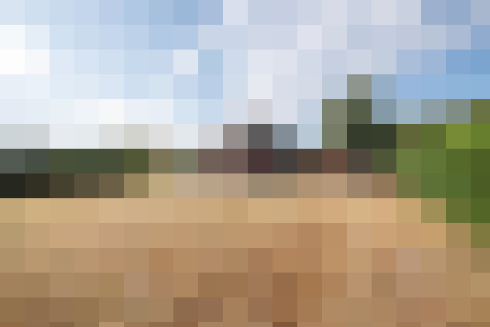 Image 22