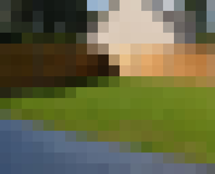 Image 13