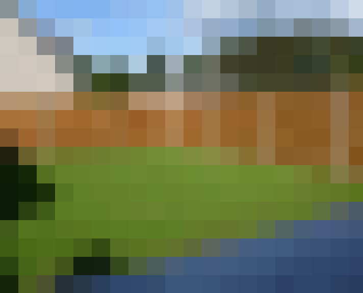 Image 14