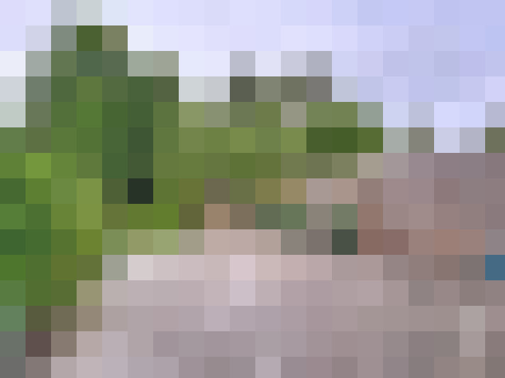 Image 20