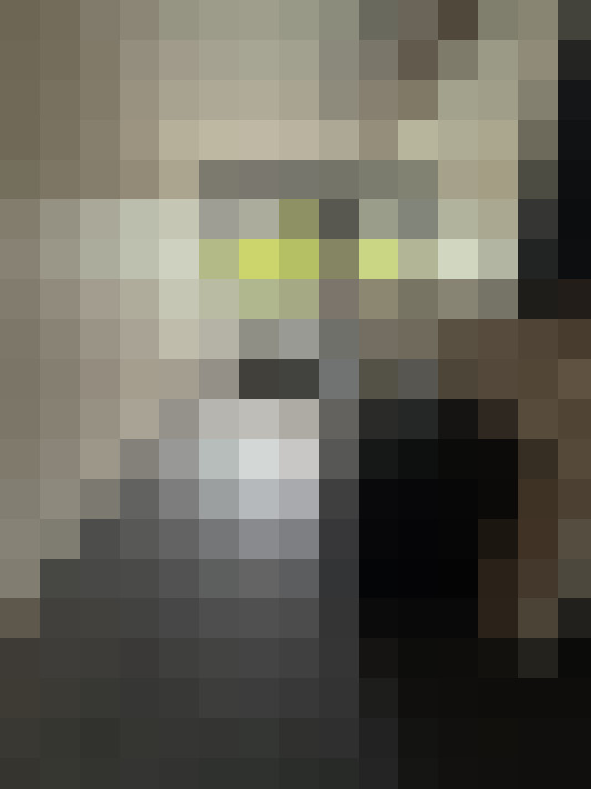 Image 17