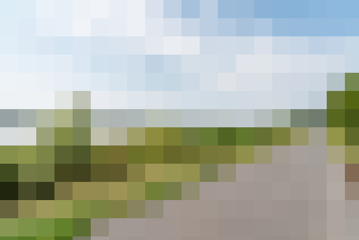 Image 29