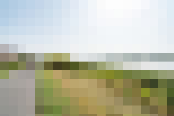 Image 30