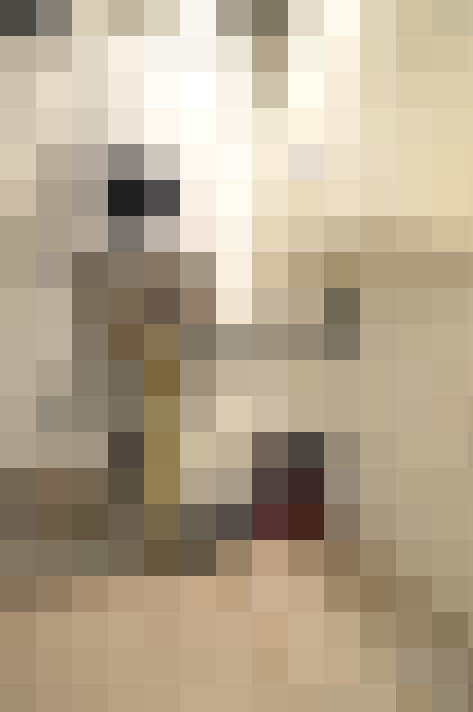 Image 36