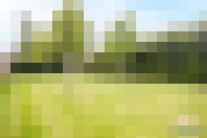 Image 20