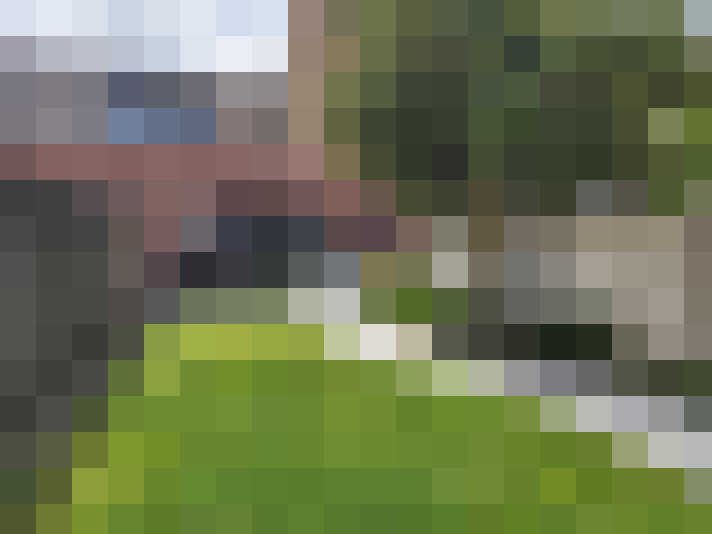Image 17