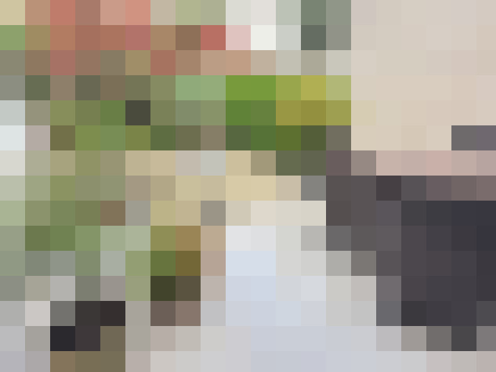 Image 15