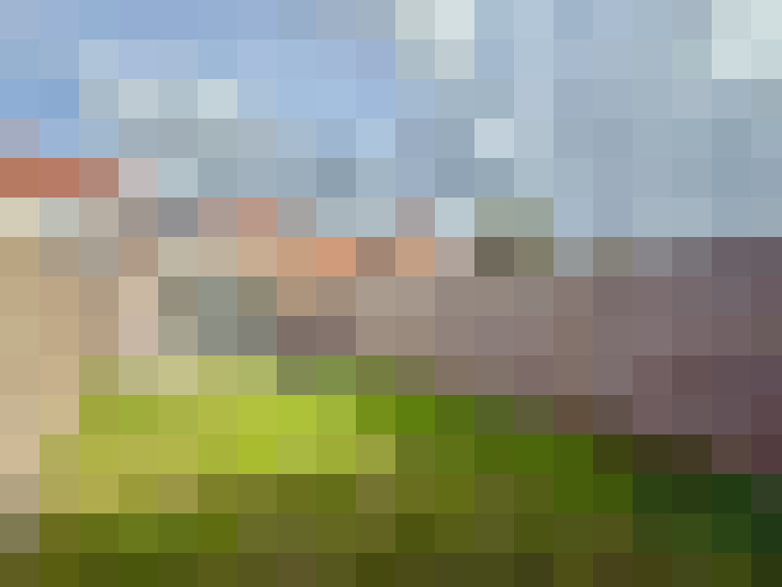 Image 25