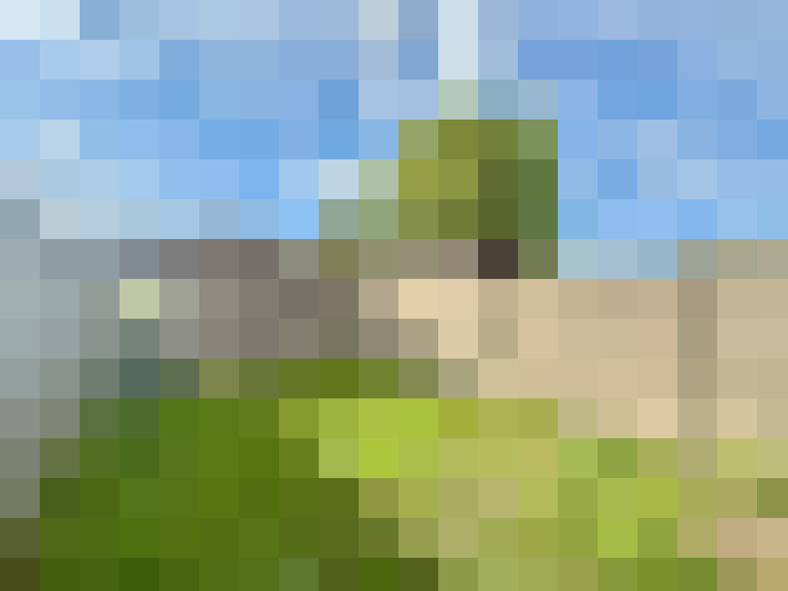 Image 23