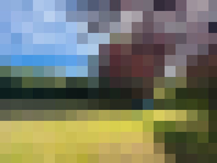 Image 20
