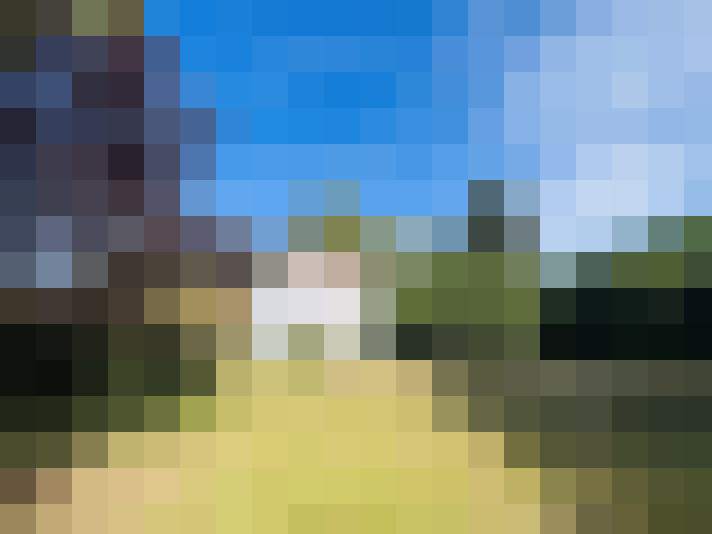 Image 21