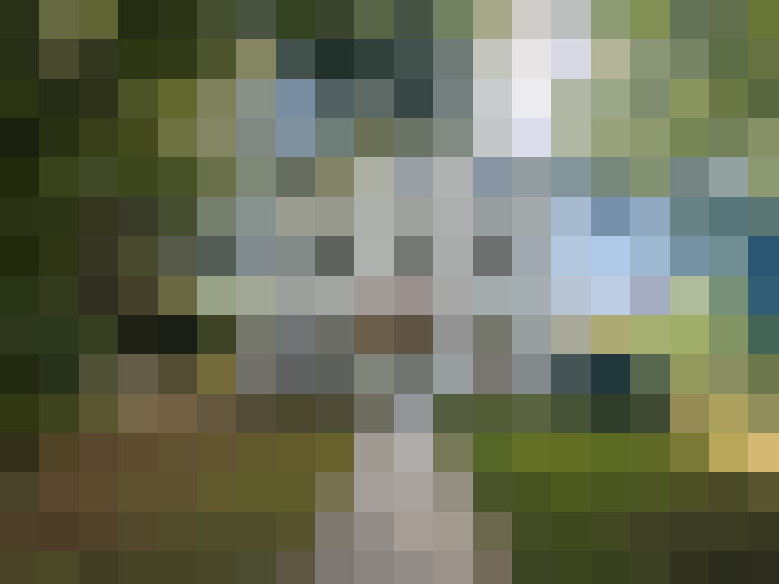 Image 23