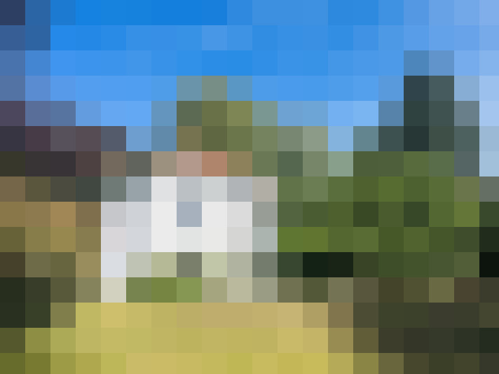 Image 22