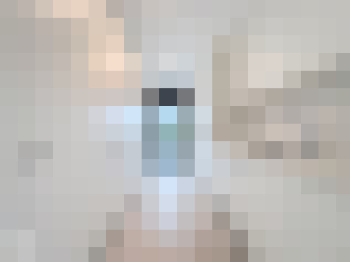 Image 28