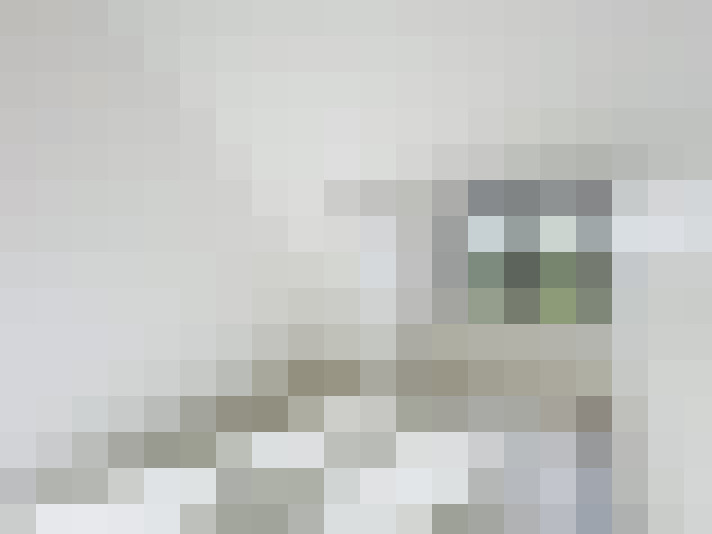 Image 31