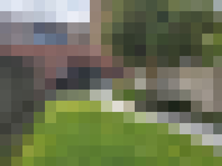 Image 17