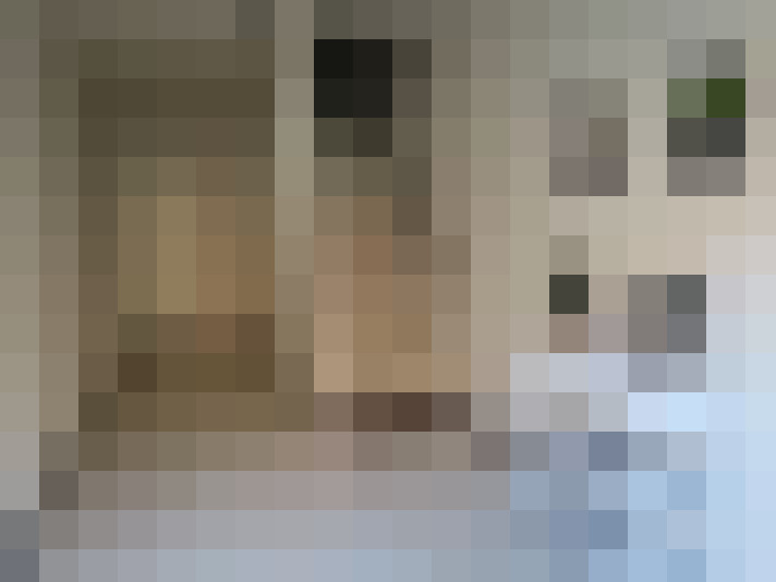 Image 17