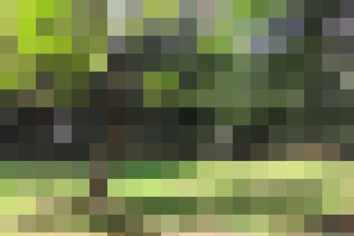 Image 14