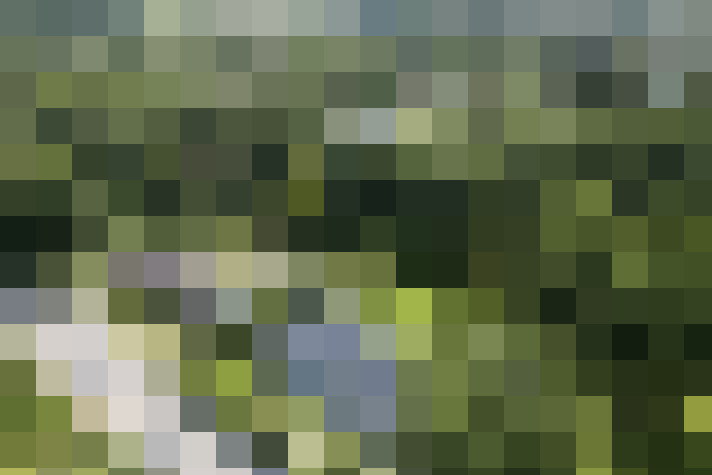 Image 23