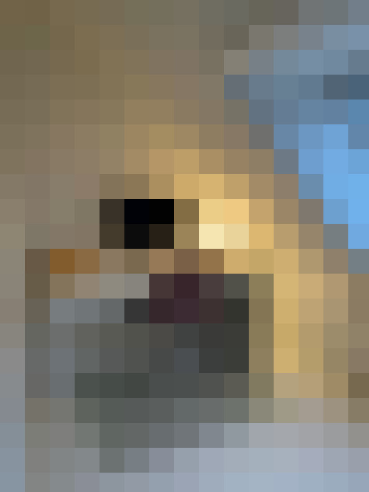 Image 21