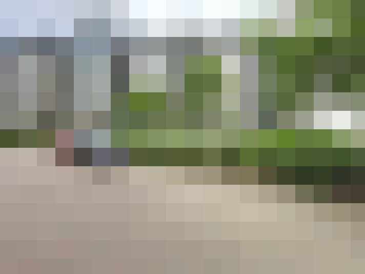 Image 29