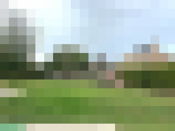 Image 24