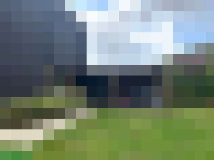 Image 23