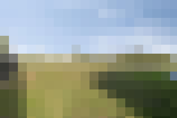 Image 64