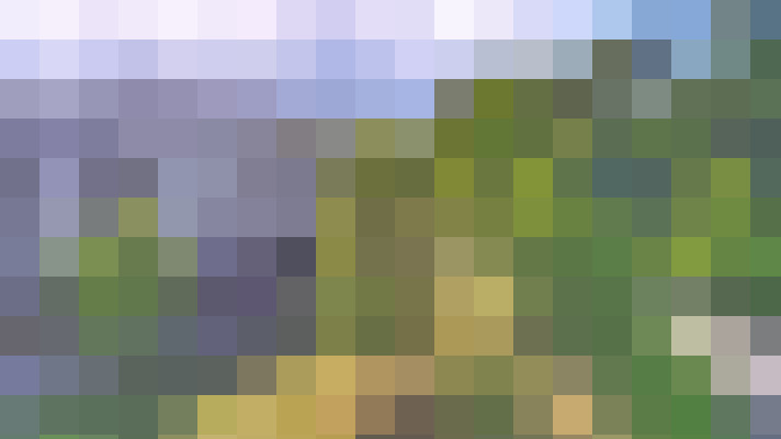 Image 38