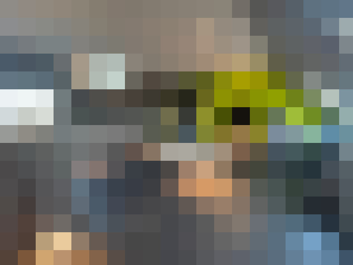 Image 30