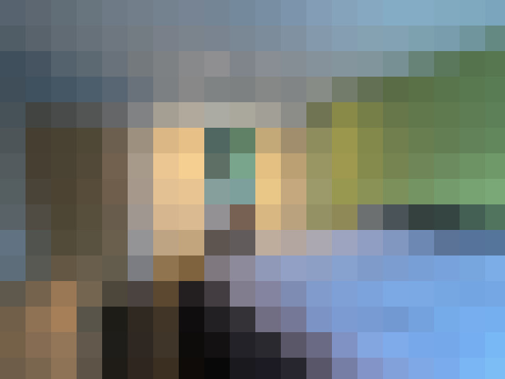 Image 20