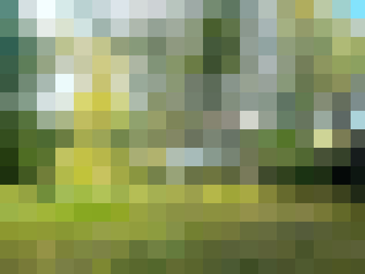 Image 36