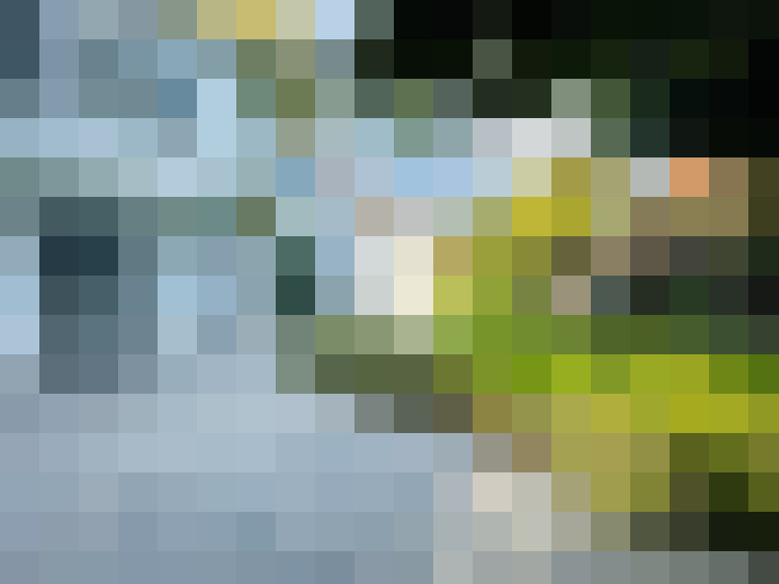 Image 17