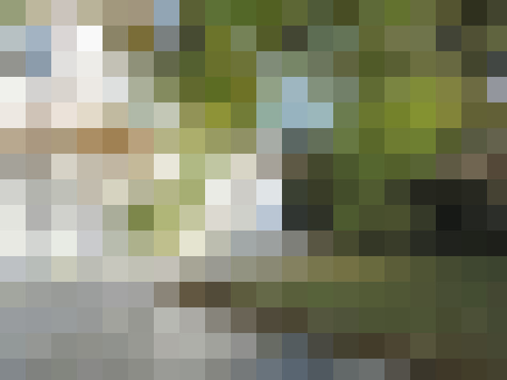 Image 30