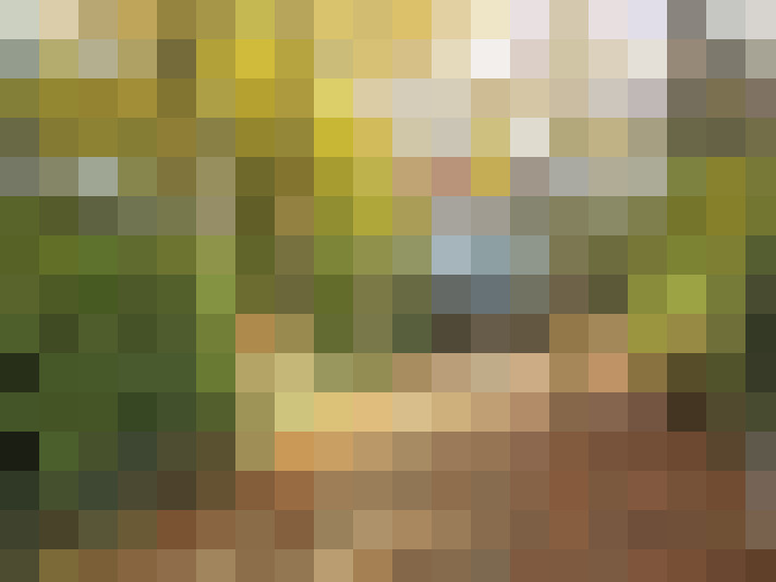 Image 32