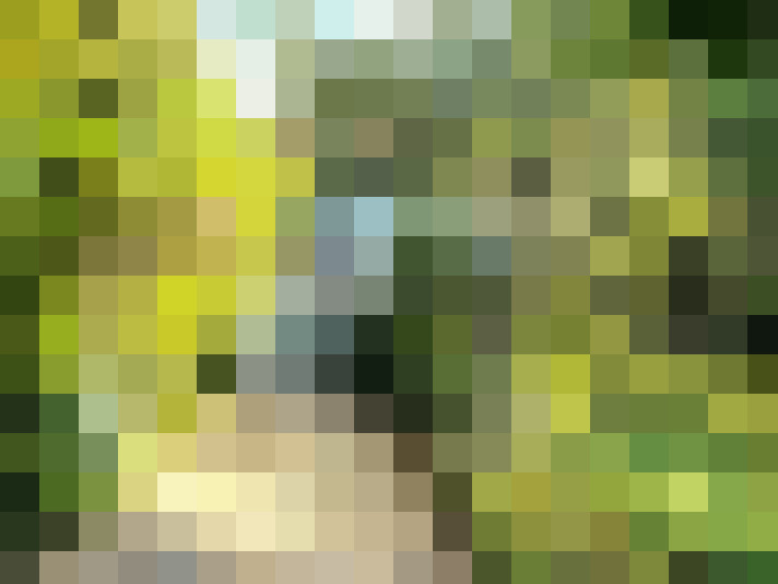 Image 35