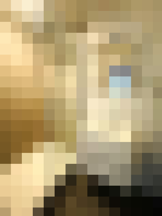 Image 31