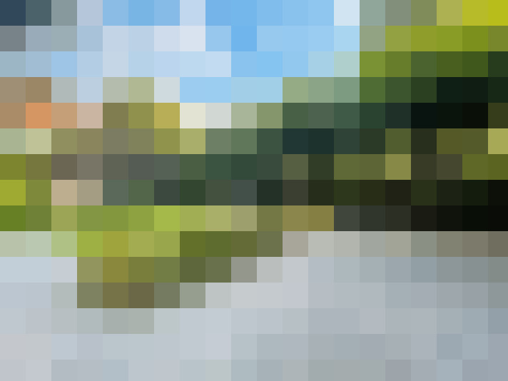 Image 15