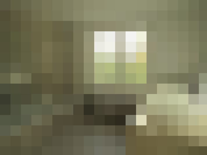 Image 20