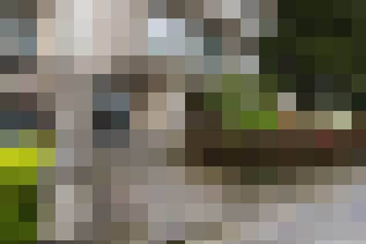 Image 18