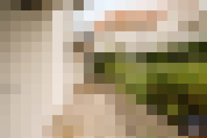Image 42