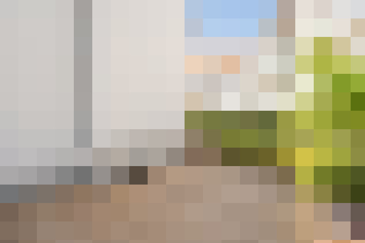 Image 47
