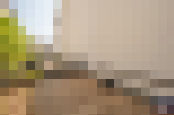 Image 43