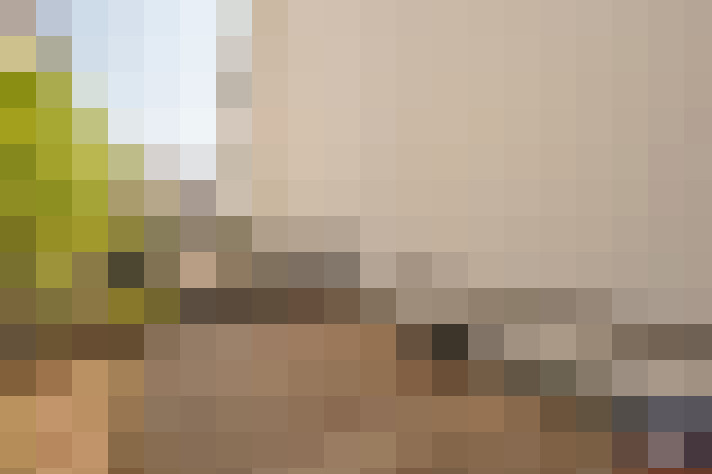 Image 44